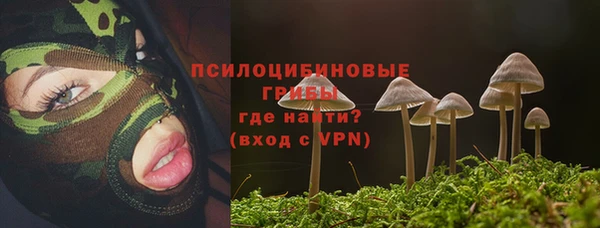 PSILOCYBIN Горнозаводск