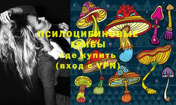 каннабис Осташков