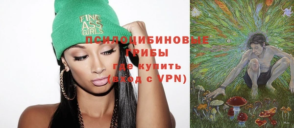 spice Осинники