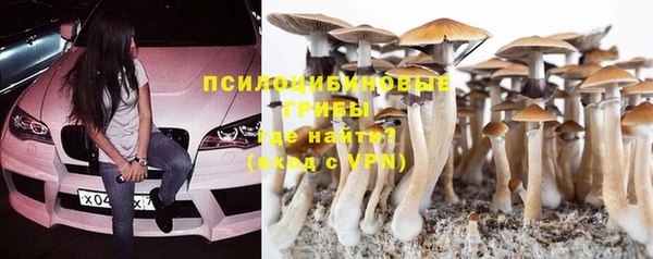 каннабис Осташков