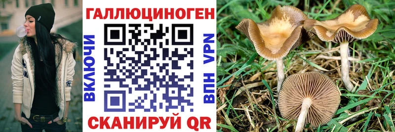 цена наркотик  Печора  Галлюциногенные грибы Cubensis 