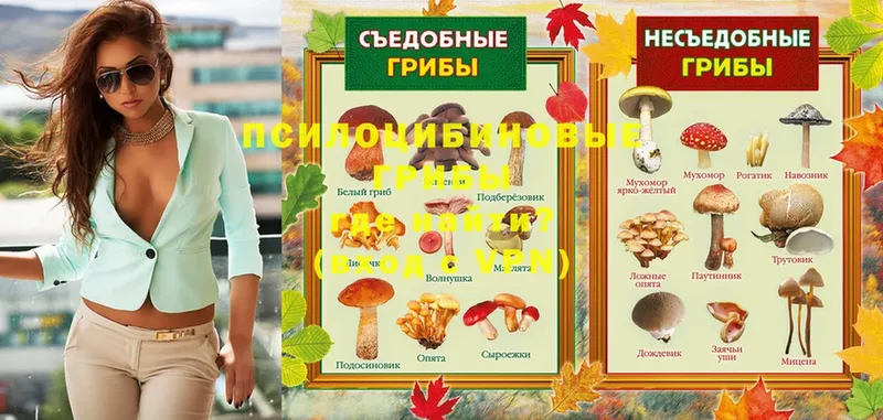 Галлюциногенные грибы Magic Shrooms  даркнет сайт  Печора 