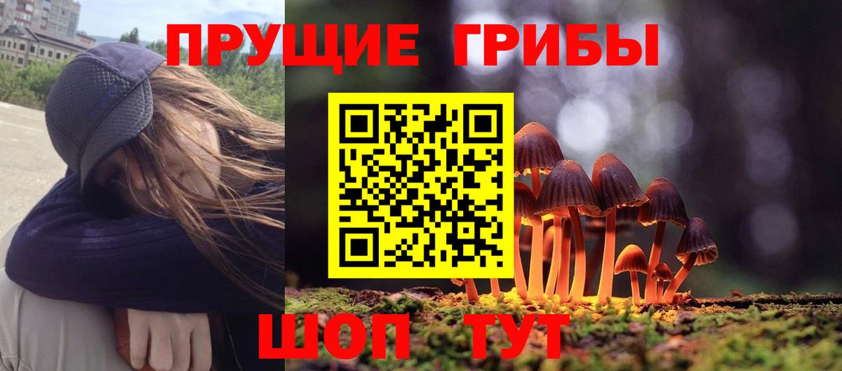 Галлюциногенные грибы ЛСД  Псилоцибиновые грибы прущие грибы  Печора 